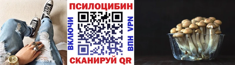 Купить  Аркадак  Галлюциногенные грибы ЛСД 